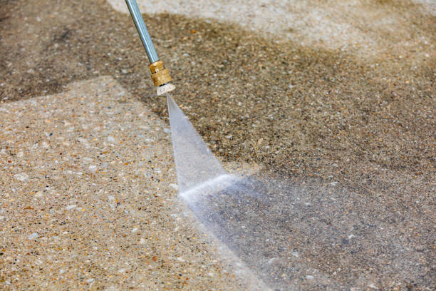 Best Winterizing Services  in Cayuga, IN